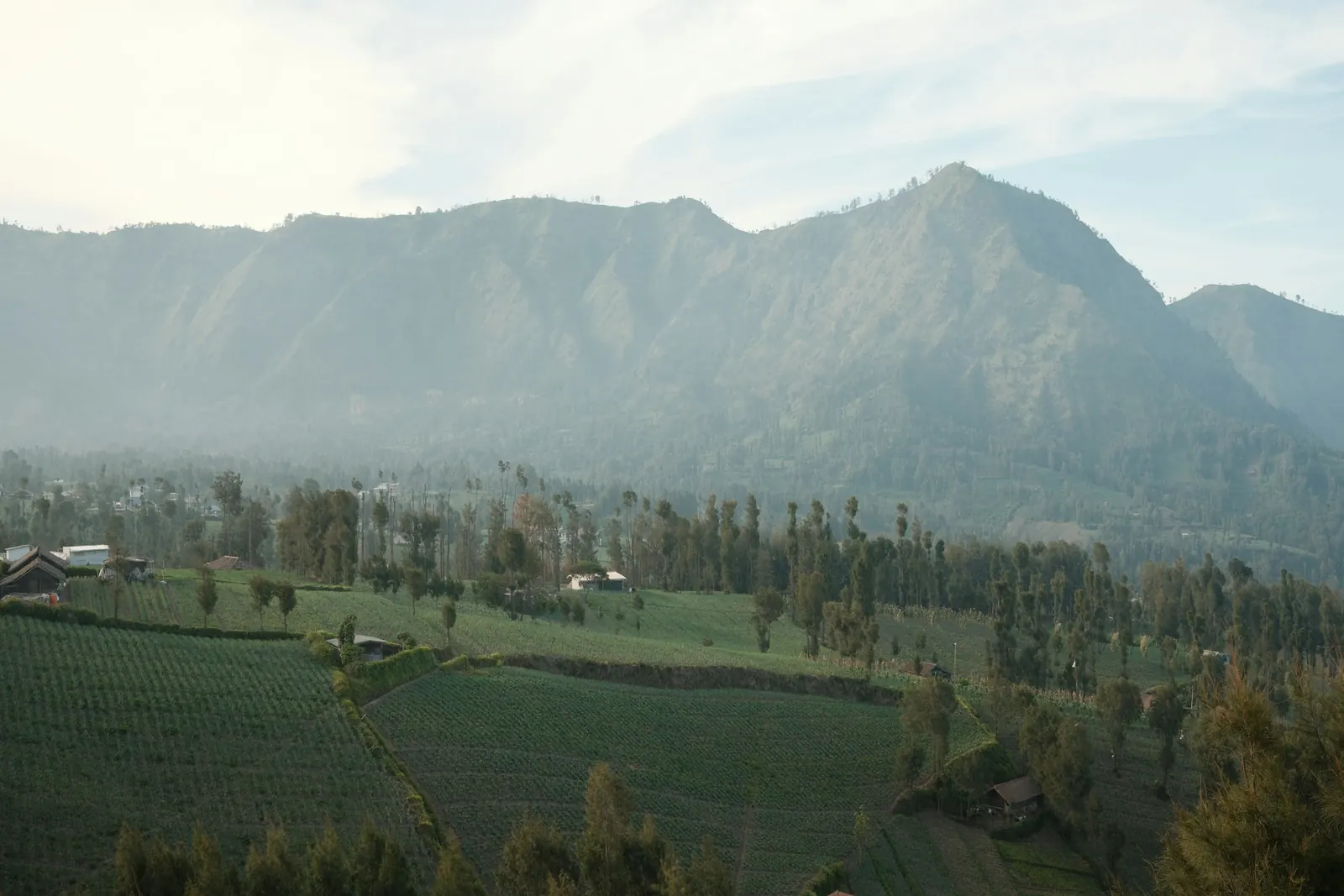 Cemoro Lawang village and its vegetable fields below the caldera wall
