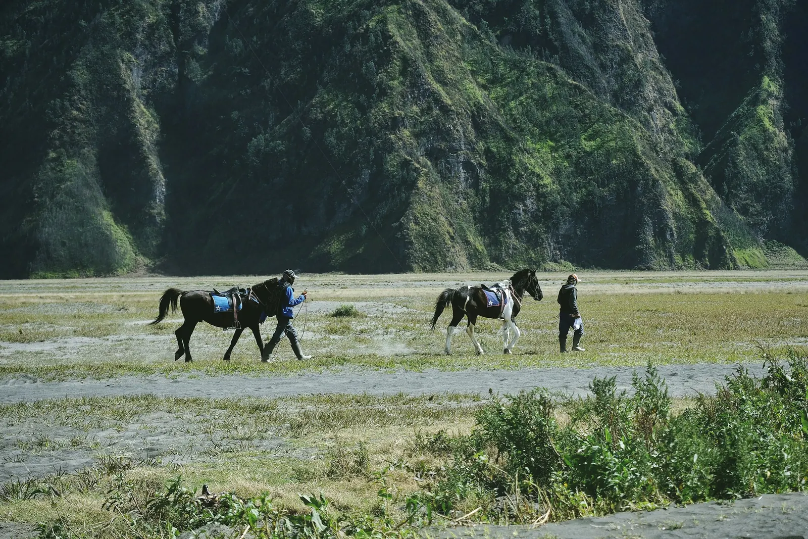 Horsemen leading saddled horses across the green savanna inside the Bromo caldera